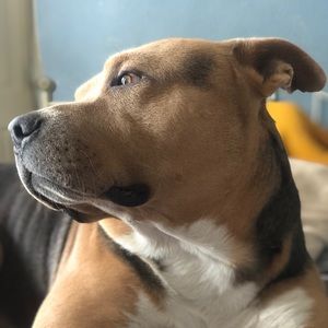 Meet your Posher, Stacey